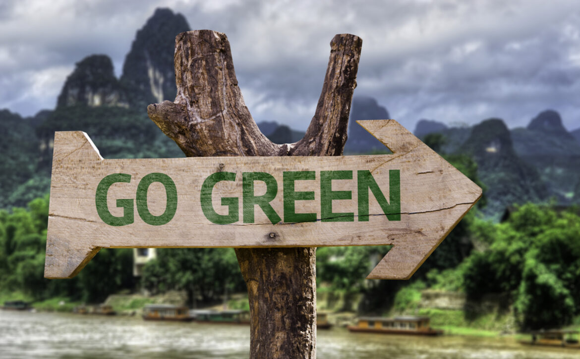 Go,Green,Wooden,Sign,With,A,Forest,Background